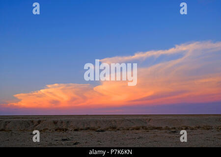 Atmosfera serale dopo il tramonto con nubi colorate su una solitaria, svuotare il paesaggio del deserto in Namibia, Dorob Parco Nazionale Foto Stock