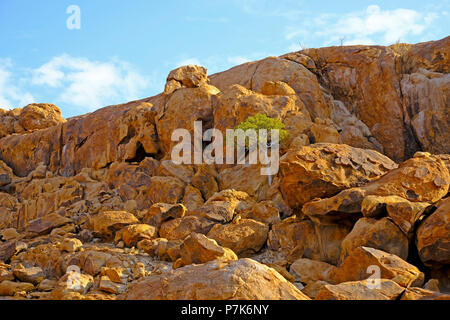 Aspre rocce di granito con collina della roccia di slittamento e albero nella roccia, Brandberg area in Namibia, Damaraland Foto Stock