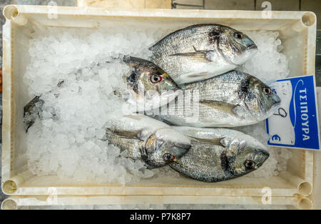 Negozio di pesce nelle strade di Rethimno, pesce su ghiaccio, Rethimno, Europa, Creta, Grecia Foto Stock