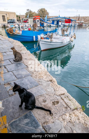 Gatti presso il molo del porto veneziano di Rethymno, barche da pesca, Europa, Creta, Grecia, Foto Stock