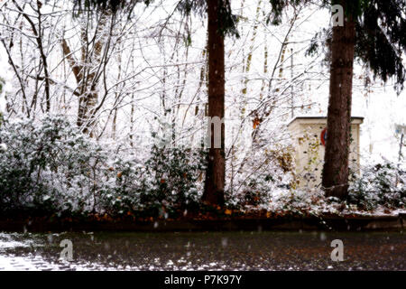 Una coperta di neve nel cortile in inverno con alberi e piante di nevicata Foto Stock