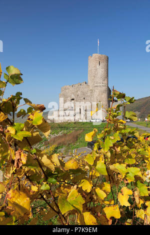 Le rovine del castello di Landshut, Bernkastel-Kues, Renania-Palatinato, Germania Foto Stock