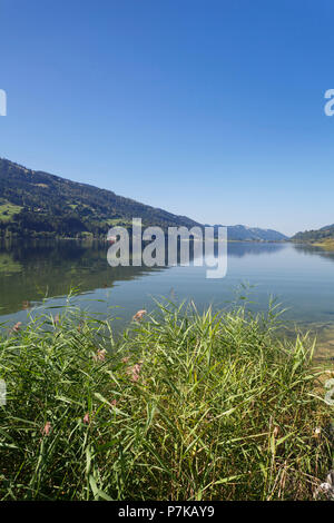 Alpsee, Immenstadt, Algovia, Baviera, Germania Foto Stock