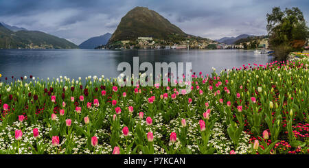 I tulipani sulla riva del lago di Lugano con il Monte San Salvatore in background Foto Stock