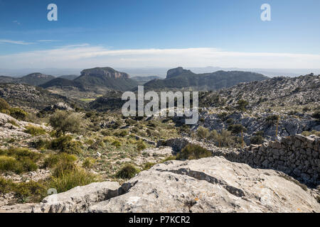 Vista delle montagne Tramuntana dal piede del Puig de l'Re, Maiorca, isole Baleari, Spagna Foto Stock