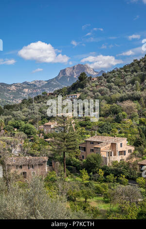 Vista su Fincas Il Puig Major (1445 m), la montagna più alta dell'isola, Soller Maiorca, isole Baleari, Spagna Foto Stock