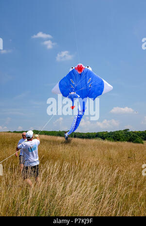 Brighton, Regno Unito. Il 7 luglio 2018. I membri di Bognor Kite volantini lanciare un 100ft giganti blu manta ray come essi godere di belle calde giornate di sole al quarantesimo annuale di Brighton il Kite Festival che si terrà nel corso del fine settimana nel parco Stanmer Credito: Simon Dack/Alamy Live News Foto Stock