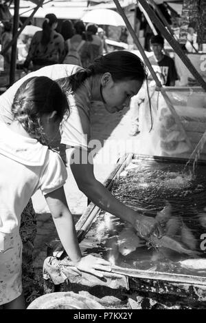 Donna scegliendo un goldfish per cena presso il mercato del pesce, Foto Stock