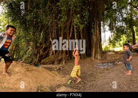 Bambini che giocano in un banyan tree Foto Stock