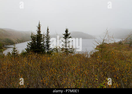 Diario di viaggio, viaggio Terranova, Canada, paesaggi e scenic, provincia canadese, 'rock', Foto Stock