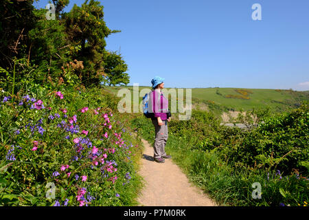 Donna trekking sul Sentiero costiero, sentiero costiero vicino a Looe, Cornwall, Regno Unito Foto Stock