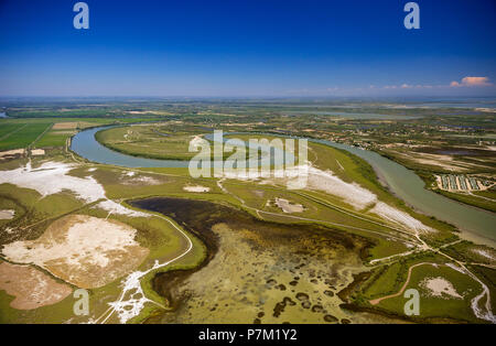 Petit-Rhône prima di entrare nel Mediterraneo, meandro, Camargue, Bouches-du-Rhône, Saintes-Maries-de-la-Mer, Provence-Alpes-Côte d'Azur, in Francia Foto Stock