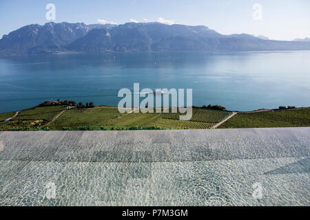 Fontane con vista sul lago di Ginevra e le Alpi svizzere, vicino a Vevey, Canton Vaud, Svizzera occidentale, Svizzera Foto Stock