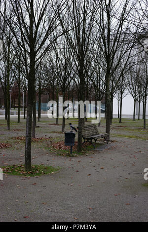 Un corvo seduto su un cestino dell'immondizia accanto a una panchina nel parco e alla ricerca di cibo. Foto Stock