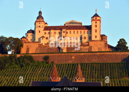 In Germania, in Baviera, Alta Franconia Regione, Würzburg, San Burkard chiesa e Fortezza di Marienberg Foto Stock