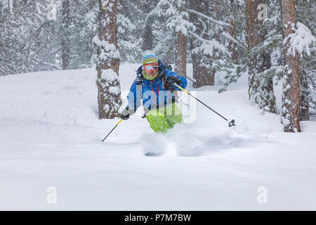 Sciatore freeride in Valle d'Aosta, Rhemes-Notre-Dame, la Valle di Rhemes, provincia di Aosta, Valle d'Aosta, Italia, Europa Foto Stock