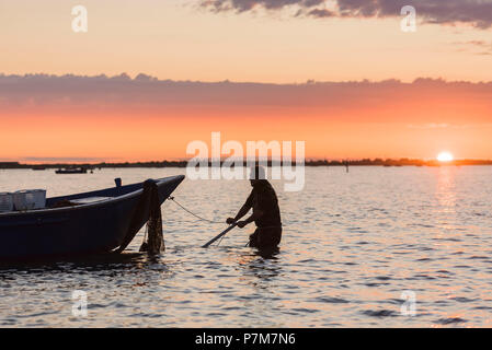 Sacca di Scardovari, Porto Tolle, provincia di Rovigo, Delta del Po Veneto, Italia, Europa Foto Stock