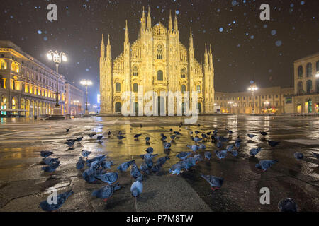 Piccioni in Piazza Duomo durante una notte nevicata, Milano, Lombardia, Italia settentrionale, Italia, Foto Stock