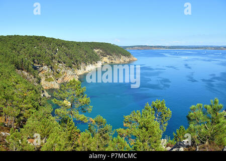 Francia, Finisterre, Iroise Mare, Parc Naturel Regional d'Armorique Armorica (Parco naturale regionale), Presqu'ile de Crozon, Cap de la Chevre, Pointe de Saint Hernot Foto Stock