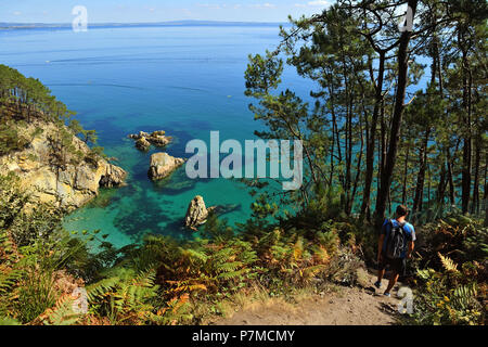 Francia, Finisterre, Iroise Mare, Parc Naturel Regional d'Armorique Armorica (Parco naturale regionale), Presqu'ile de Crozon, Morgat, camminare lungo il GR34 sulla penisola di Crozon, Cap de la Chèvre sentiero costiero Foto Stock