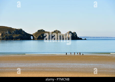 Francia, Finisterre, Iroise Mare, Parc Naturel Regional d'Armorique Armorica (Parco naturale regionale), Presqu'ile de Crozon Foto Stock