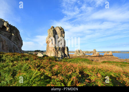 Francia, Cotes d'Armor, Cote d'Ajoncs, Plougrescant, Pors Scaff cove Foto Stock