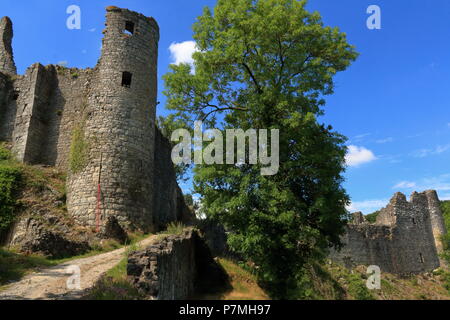 Rovine del Castello di Montaigle Foto Stock