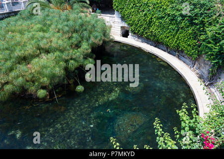 Fonte Aretusa è una cascata sull'isola di Ortigia, nella parte più antica della città, uno dei più bei monumenti.Siracusa, Italia Foto Stock