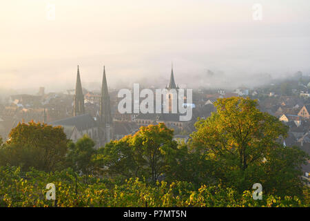 Francia, Bas Rhin, Obernai, vista generale con Saint Pierre e Paolo Chiesa e la cappella e la torre Foto Stock