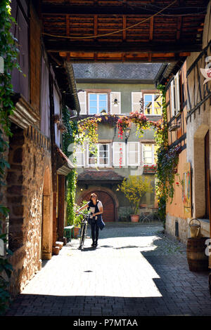 Francia, Haut Rhin, Alsazia strada del vino, Turckheim, Grand Rue, corte del viticoltore Thomas Baur Foto Stock