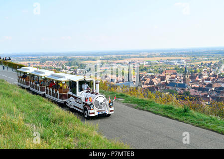 Francia, Bas Rhin, Obernai, il Mont Nazionale e il suo memoriale, vista generale con Saint Pierre e Paolo Chiesa e la cappella e la torre Foto Stock