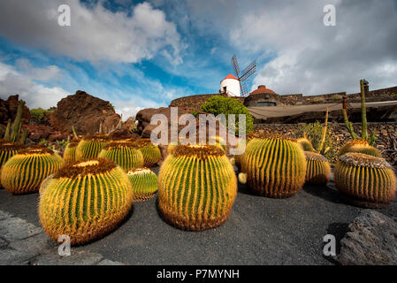 Jardín de Cactus, progettato da Cesar Manrique, Lanzarote, Isole canarie, Spagna, Europa Foto Stock