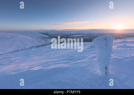 Sunrise sulla congelati paesaggio coperto di neve, Pallas-Yllastunturi National Park, Muonio, Lapponia, Finlandia Foto Stock