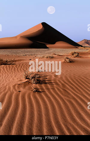 Dune di sunrise in area di Sossusvlei, Namib Naukluft National Park, Namibia Foto Stock