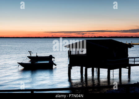 Sacca di Scardovari, Porto Tolle, provincia di Rovigo, Delta del Po Veneto, Italia, Europa Foto Stock