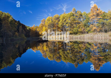 Orsiera Rocciavre Park, la Valle di Susa, distretto di Torino, Piemonte, Italia, autunno presso il lago paradiso delle Rane Foto Stock