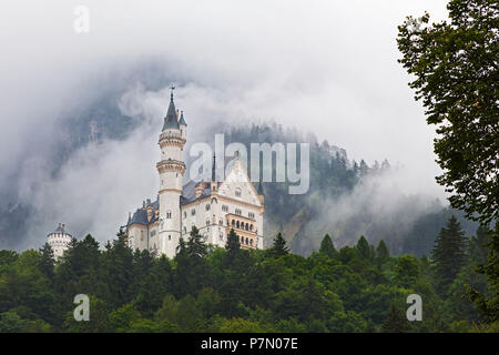 Il Castello di Neuschwanstein, Schwangau, Ostallgäu, Schwaben district, Baviera, Germania, Europa Foto Stock