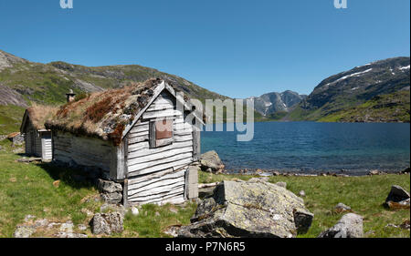 Vecchio tappeto erboso norvegese capanna del tetto sulle alte brughiere sopra Sognefjord a Gaularfjellet, Norvegia. Foto Stock