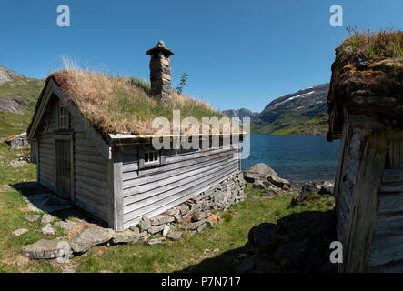 Vecchio tappeto erboso norvegese capanna del tetto sulle alte brughiere sopra Sognefjord a Gaularfjellet, Norvegia. Foto Stock