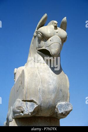 Impero achemenide . Ca 550-330 AC. L'Iran. Persepolis (Taknt-e-Jamshid). Zoomorfe capitale di Griffin. Foto Stock