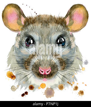 Carino rat per t-shirt grafica. Acquerello illustrazione di ratto Foto Stock