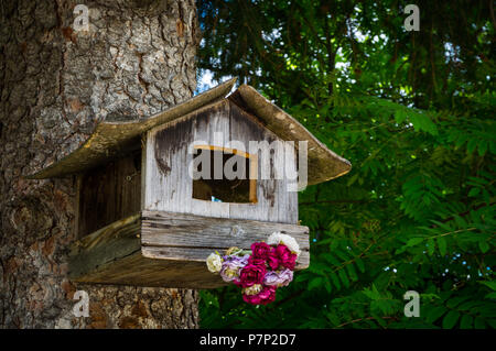 Un birdhouse appeso a un albero di pino in una foresta nelle Alpi tirolesi Foto Stock