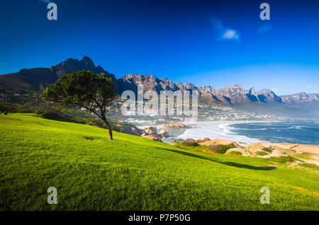Erba, albero e cielo blu, Camps Bay, Sud Africa Foto Stock