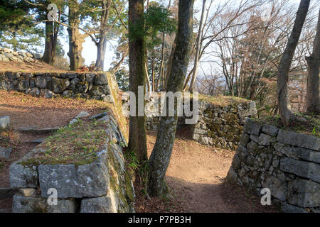 La mattina presto la luce del sole attraverso flussi di ingresso tra la pietra delle mura del castello Foto Stock