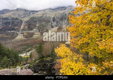 Cascada en el rio Cinca, valle de Pineta, Parque nacional de Ordesa y Monte Perdido, Provincia de Huesca, Comunidad Autónoma de Aragón, cordillera de los Pirineos, Spagna, Europa. Foto Stock