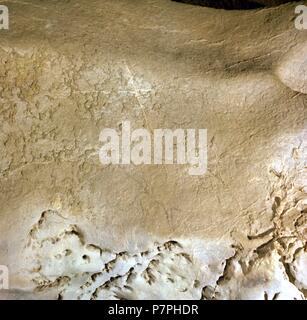 CUEVA DE EKAIN. GALERIA DE ZALDEI O DE LOS CABALLOS: CABALLO? DEVA, GUIPUZCOA, PAIS VASCO, ESPAÑA. Foto Stock