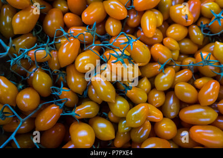 Piccolo giallo pomodori san marzano. Foto Stock