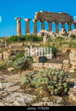 Le rovine di Selinunte, sito archeologico e antica città greca in Sicilia, Italia. Foto Stock