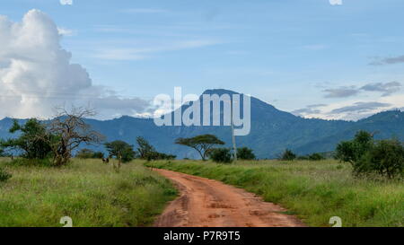 Prateria savana paesaggio di Taita Hills Wildlife, Voi kenya Foto Stock