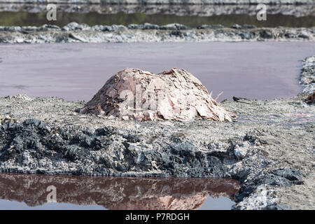 Le saline, pile di sale estratto dalle saline di un cratere del lago presso la Queen Elizabeth National Park, Uganda, Africa orientale Foto Stock